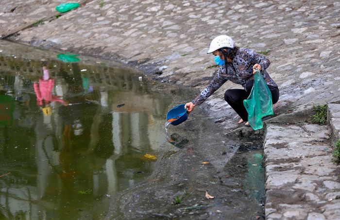 So với những năm trước, người dân đã rất ý thức trong việc thả cá. Không còn tràn lan cảnh ném, đổ ụp hay vứt cả túi nylon cùng cá xuống hồ nữa.