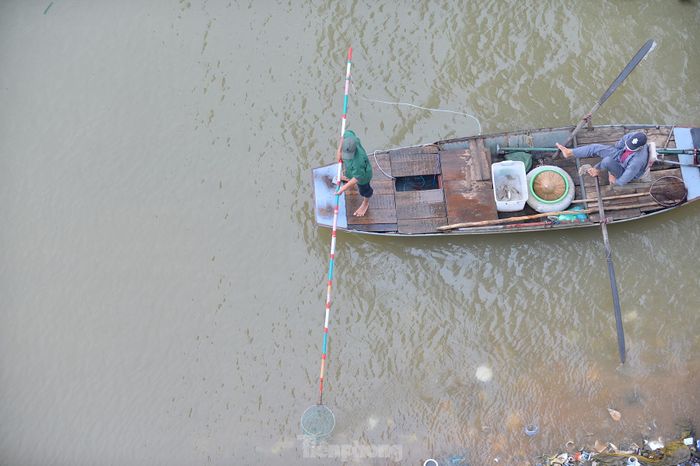 Phía dưới chân cầu, cá chưa kịp bơi đi xa đã có thuyền của người dân đi 'trục vớt'.