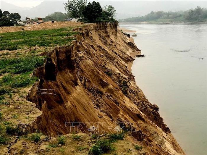 Hàng trăm ha đất nông nghiệp của người dân 2 bên bờ sông đã bị “mất trắng”. Ảnh: Vũ Quang - Nam Sương/TTXVN