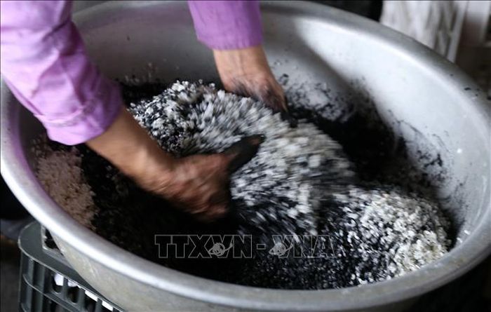 Gạo nếp nương được trộn với than lấy từ cây núc nác. Đó là nguyên liệu chính để làm được bánh chưng đen.