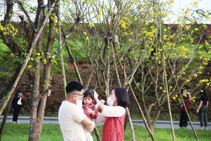 Một gia đình nhỏ cùng nhau du xuân bên trong không gian vườn hoàng mai tuyệt đẹp