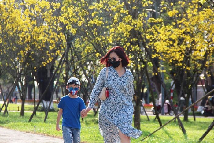 Nhiều phụ huynh tranh thủ nắng đẹp dẫn con đi ngắm cảnh, dạo chơi ở vườn hoàng mai những ngày cận kề tết