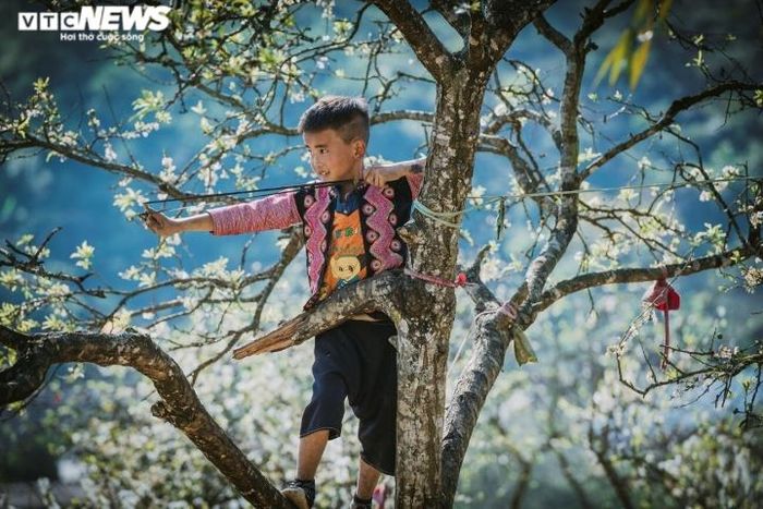 “Tôi rất thích hoa mận và luôn có cảm giác đặc biệt khi ngắm nhìn. Nhiều năm qua, năm nào tôi cũng cùng nhóm bạn đến đây để tham quan, chụp hình”, NAG Khang Chu Long nói.