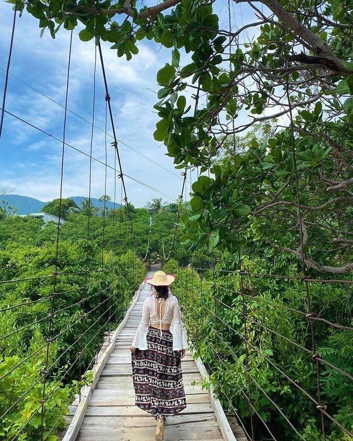 (Ảnh: Nguồn internet)