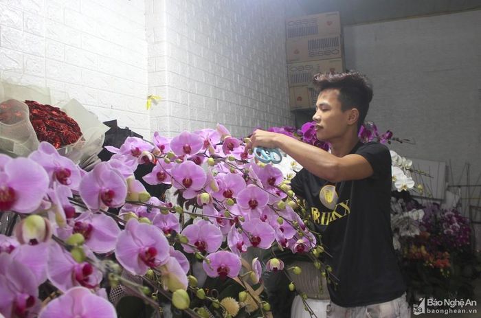 Cắm lan dịp Tết có mức thu nhập cao nhưng người thợ cần có sự đam mê, học hỏi với nghề. Ảnh: D.T