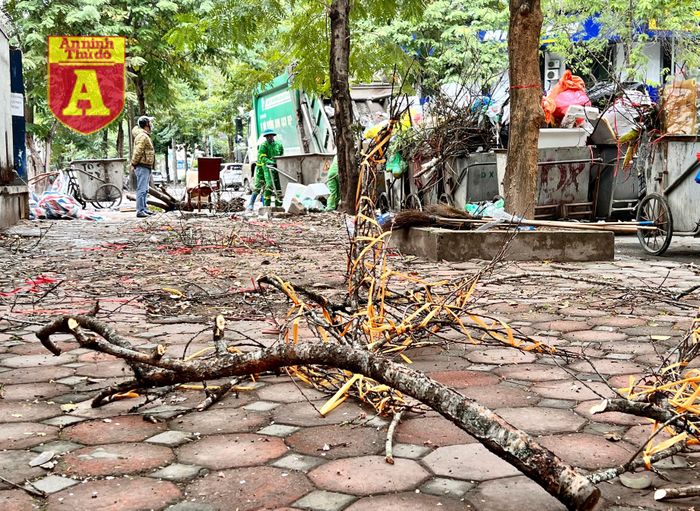Các công nhân môi trường cặm cụi thu dọn loại "rác bạc triệu".