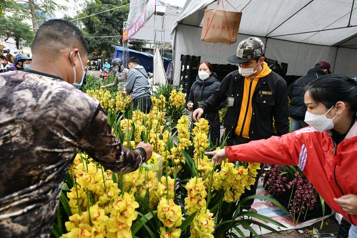  Một hàng bán hoa địa lan giảm giá 70% xuống còn 400.000 đồng/chậu, thu hút khá nhiều khách vào mua. 