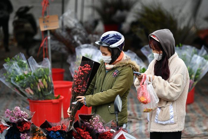  Hoa Thanh Liễu (xuất xứ Trung Quốc) có giá bán 120.000 đồng/bó. Đây là một trong những loại hoa mới được nhập về trong vài năm gần đây. Năm nay Thanh Liễu xuất hiện nhiều hơn. Chủ hàng cho biết ngày hôm trước chị bán được hơn 1.000 bó. 