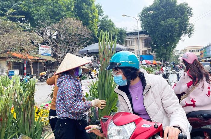 Lay ơn có giá 200.000 - 220.000 đồng, tăng gấp 2 lần so với mấy ngày trước.