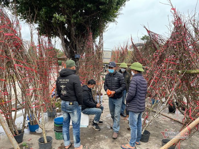 Các tiểu thương ngồi đếm lại số tiền bán được sau vụ buôn đào Tết