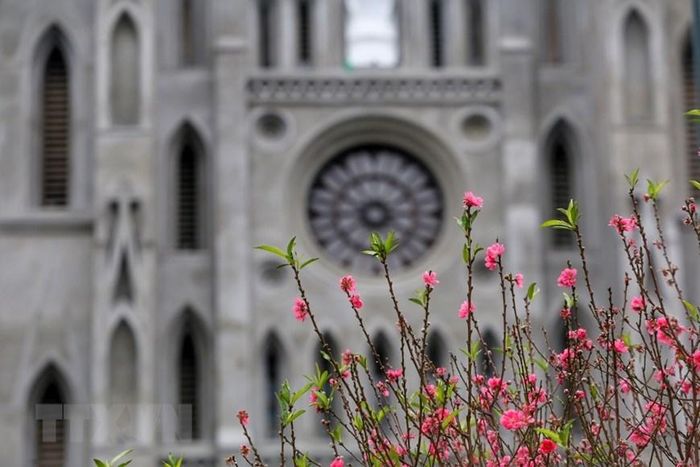  Nhà thờ Lớn Hà Nội với "chiếc áo mới". (Ảnh: Tuấn Đức/TTXVN) 