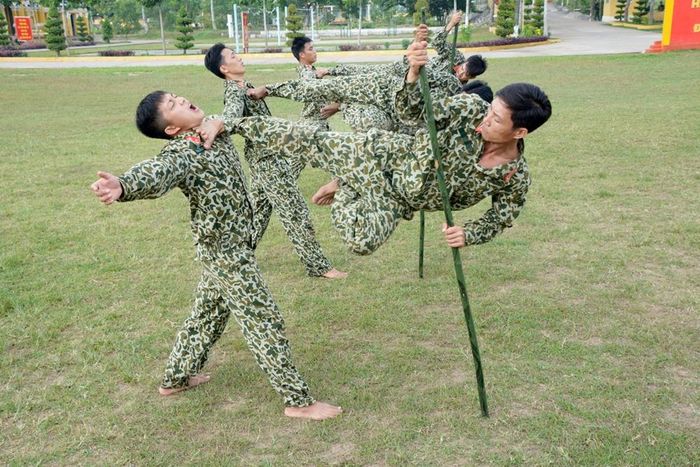 Binh chủng Đặc công có nhiệm vụ tập trung nghiên cứu, tham mưu cho Bộ Quốc phòng Việt Nam xây dựng và phát triển các lực lượng Đặc công theo hướng tinh - gọn - chất lượng cao.