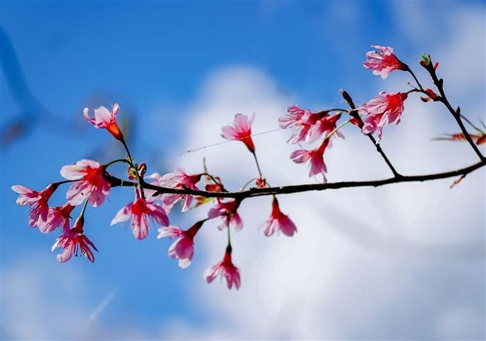 * Bài viết chỉ mang tính tham khảo!