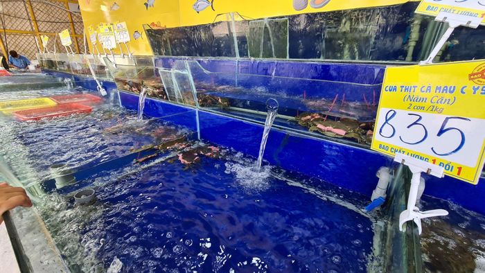 Cua, ghẹ tăng giá dịp Tết. Ảnh: Lan Anh.