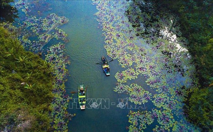 Đường vào Thung Nắng-địa danh du lịch thuộc thôn Đam Khê, xã Ninh hải (Hoa Lư, Ninh Bình) với vẻ đẹp hoang sơ, quyến rũ.