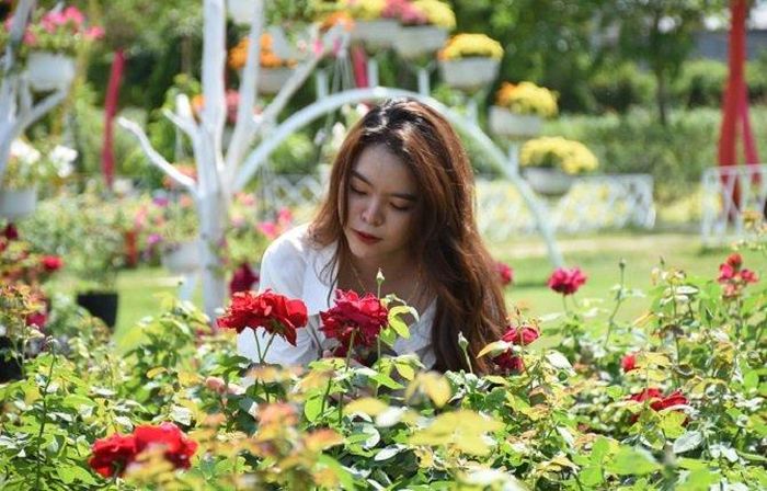 Du khách check-in bên hoa hồng tại khu du lịch Cánh đồng Hoa Hồng.