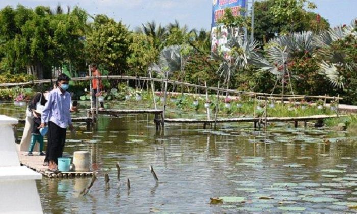 Điểm trình diễn cá lóc bay tại khu du lịch Cánh đồng Hoa Hồng (TP Sa Đéc, Đồng Tháp) thu hút du khách đến đây tham quan, giải trí và chụp ảnh lưu niệm.