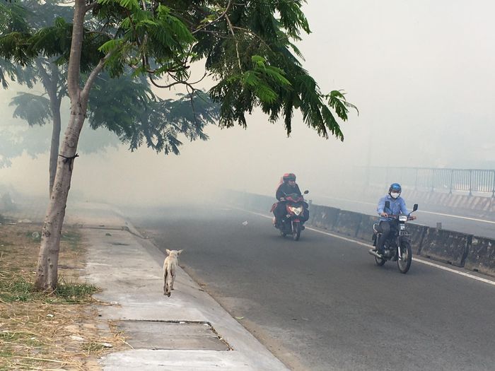 Khói mù mịt trên đường