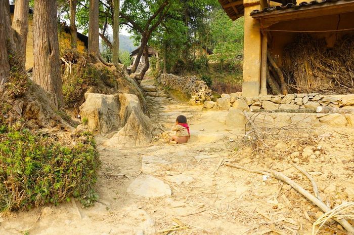 Cảnh tượng chúng tôi bắt gặp ở đỉnh Pín Tủng khi lần đầu tiên đặt chân lên cao nguyên đá đã thôi thúc chúng tôi xây trường