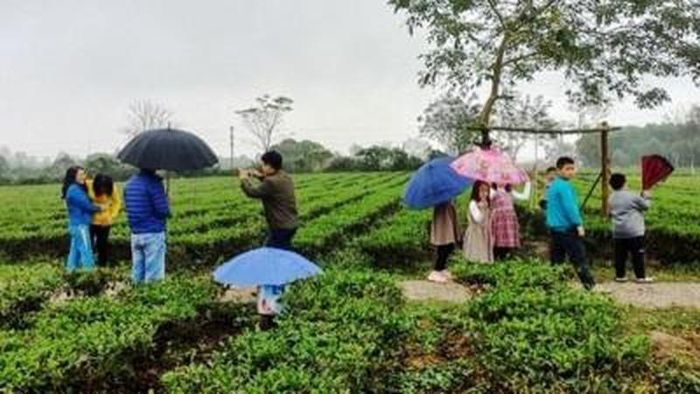 Người dân cần kiểm tra thông tin cơ sở dịch vụ khi du xuân. (Ảnh minh họa)