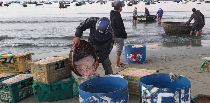 Những ngư dân thường dong thuyền đi xúc ruốc từ 17 giờ hôm trước đến 5 giờ sáng hôm sau