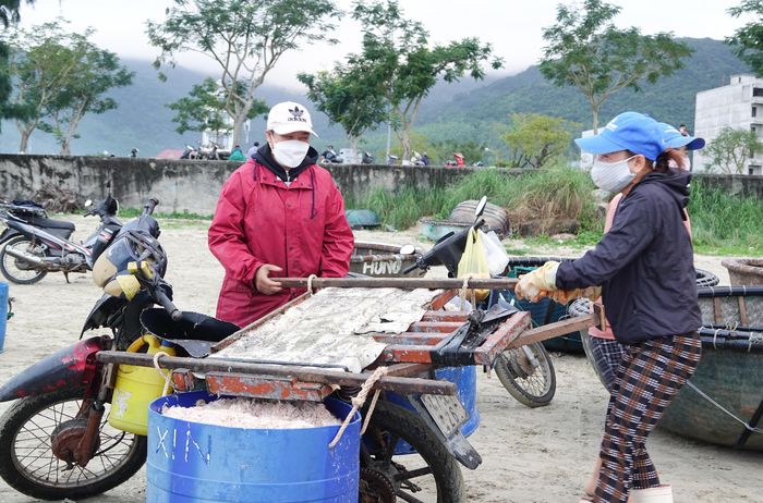 Nhiều thương lái đợi thuyền ruốc về bờ từ 5 giờ sáng để mua số lượng lớn