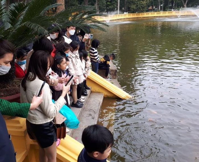 Du khách tham quan ao cá Bác Hồ trong khuôn viên Khu dich tích Chủ tịch Hồ Chí Minh (Ba Đình, Hà Nội). Ảnh: XM