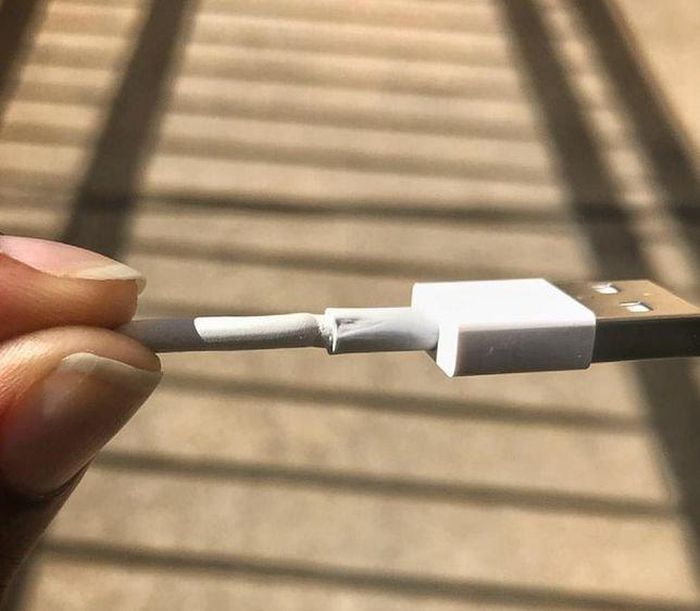  Dây sạc iPhone bị móp méo chỉ sau một ngày phóng viên Ashlee Clark Thompson của Cnet sử dụng. Ảnh: Cnet. 