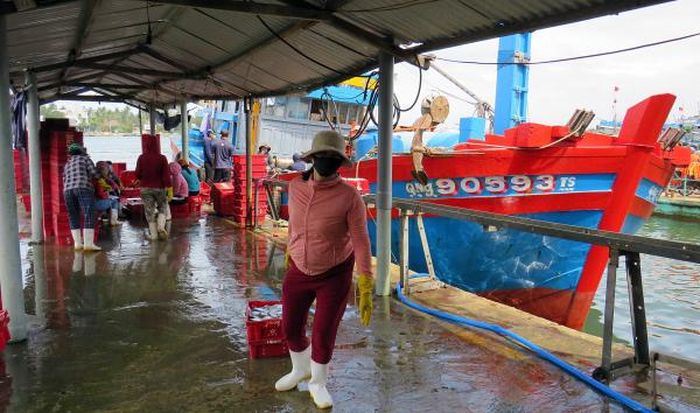 Tàu QNg-90593TS cập bến tại huyện Núi Thành, Quảng Nam bán hơn 10 tấn cá sau chuyến biển khơi.