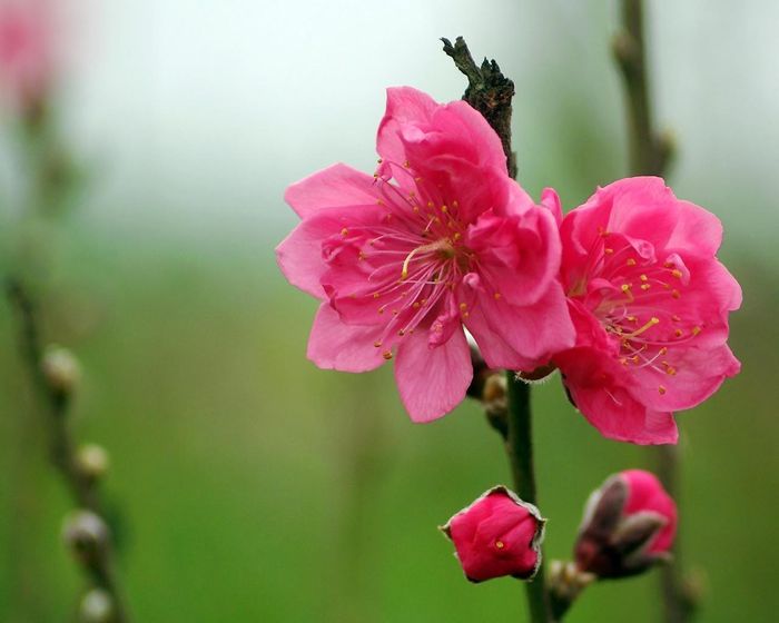 * Bài viết chỉ mang tính tham khảo