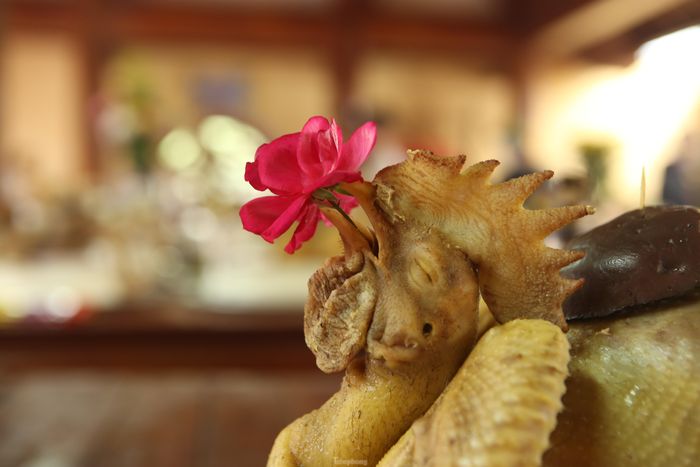 Thế gà ngậm hoa độc đáo dâng lên bàn thờ
