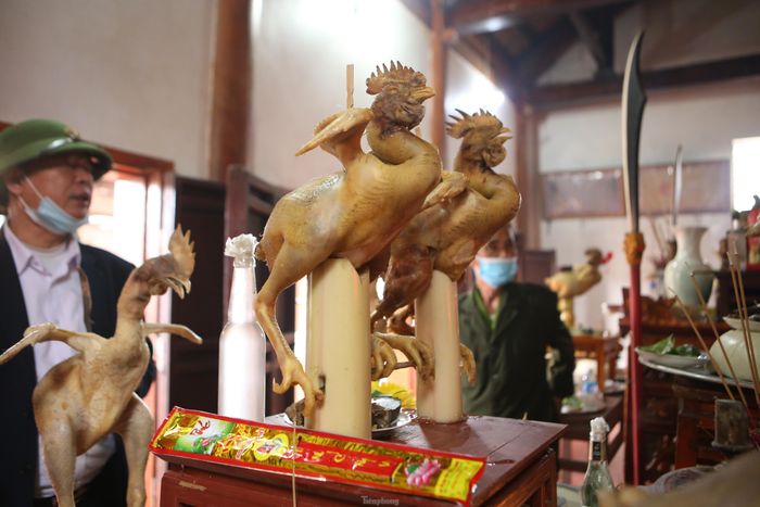 Ông Nguyễn Đình Tịnh - Trưởng ban nghi lễ dòng họ Nguyễn Đình cho biết, thông thường 10 năm dòng họ sẽ tổ chức đại lễ lớn 1 lần. Năm nay chỉ làm dâng lễ thường nên bàn cúng năm nay không đặc sắc như đại lễ. Đa phần gà dâng lên bàn thờ người dân tự làm.