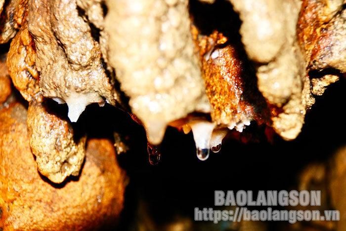 Những giọt nước tích tụ lại, tạo thành lớp băng đá