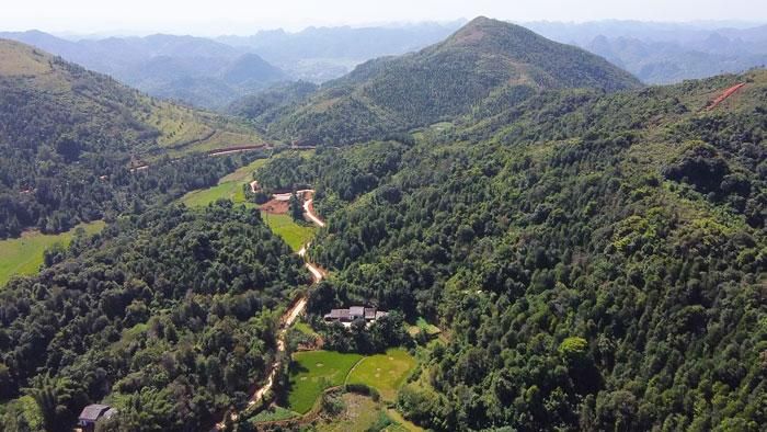 Con đường từ trung tâm xã Tân Đoàn lên hồ Bản Nầng dài 7 km đã được bê tông hóa, giao thông thuận lợi