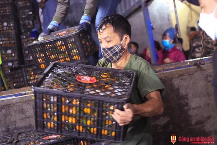 Khối lượng hàng hóa cần vận chuyển khá lớn nên gần như họ làm việc liên tục.