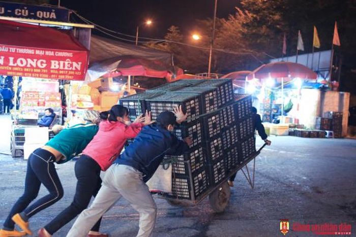 Mỗi một xe ngoài người kéo thường có 2 đến 3 người đẩy hàng ở phía sau.