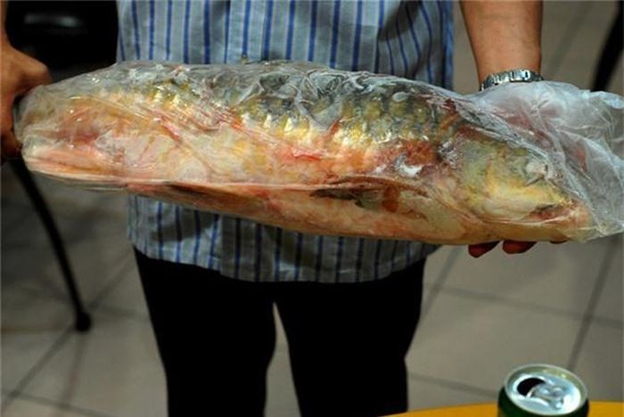Cá Empurau là loài cá khó tìm, có tiền cũng chưa chắc mua được vì số lượng cá trong tự nhiên đã bị giảm sút nghiêm trọng.