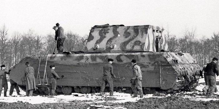 Panzer WIII Maus giữ kỷ lục là xe tăng nặng nhất thế giới từ trước tới nay. Nguyên do là bởi trọng lượng của nó lên tới 188 tấn. Mặc dù được thiết kế với tốc độ tối đa là 20 km/giờ nhưng trên thực tế xe tăng Panzer WIII Maus chỉ có thể di chuyển được với vận tốc 13 km/giờ.