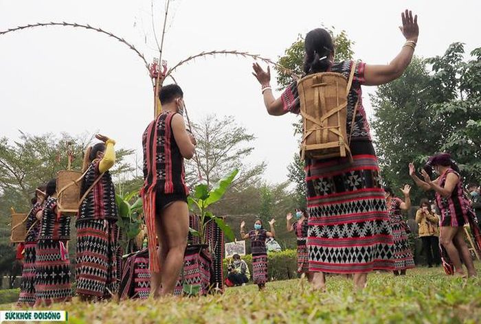 Sau một mùa lúa mới, Lễ hội mừng lúa mới lại rộn ràng khắp buôn làng của các dân tộc anh em Pa Cô, Vân Kiều, Tà Ôi, Cơ Tu… cùng các dân tộc anh em khác đang sinh sống trên rừng xanh của miền Tây Thừa Thiên Huế.