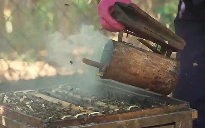 Hun khói để ong say, không đốt người.