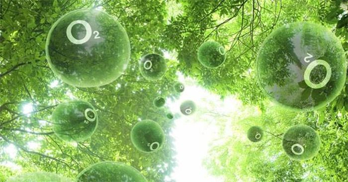 Oxy trên Trái đất đã hình thành từ các đại dương. (Nguồn: Geosystems and Geoenvironment)