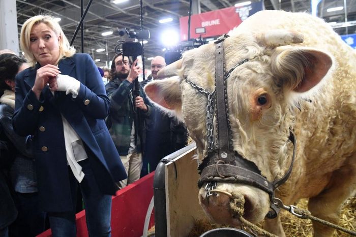 Ứng cử viên tổng thống Pháp Marine Le Pen tham quan Hội chợ Nông nghiệp quốc tế Paris, ngày 2/3. (Nguồn: Getty)