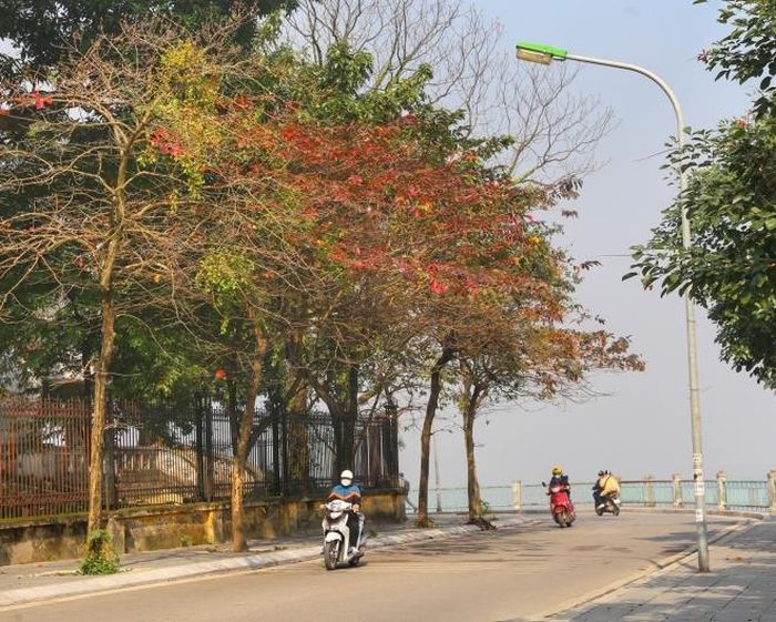 Một góc Hồ Tây. Ảnh: Tuấn Đức - TTXVN