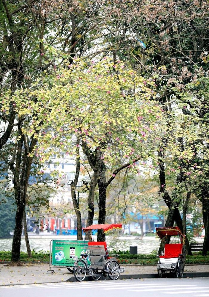 Mỗi góc hồ Gươm đều có sức hút riêng đối với người dân Hà Nội. Ảnh: Nhật Anh - TTXVN