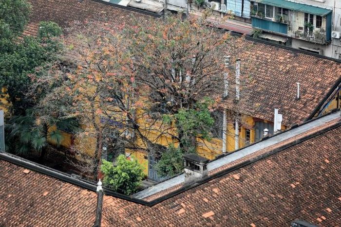 Một góc trường Đại học Dược trên phố Lê Thánh Tông. Ảnh: Nhật Anh - TTXVN