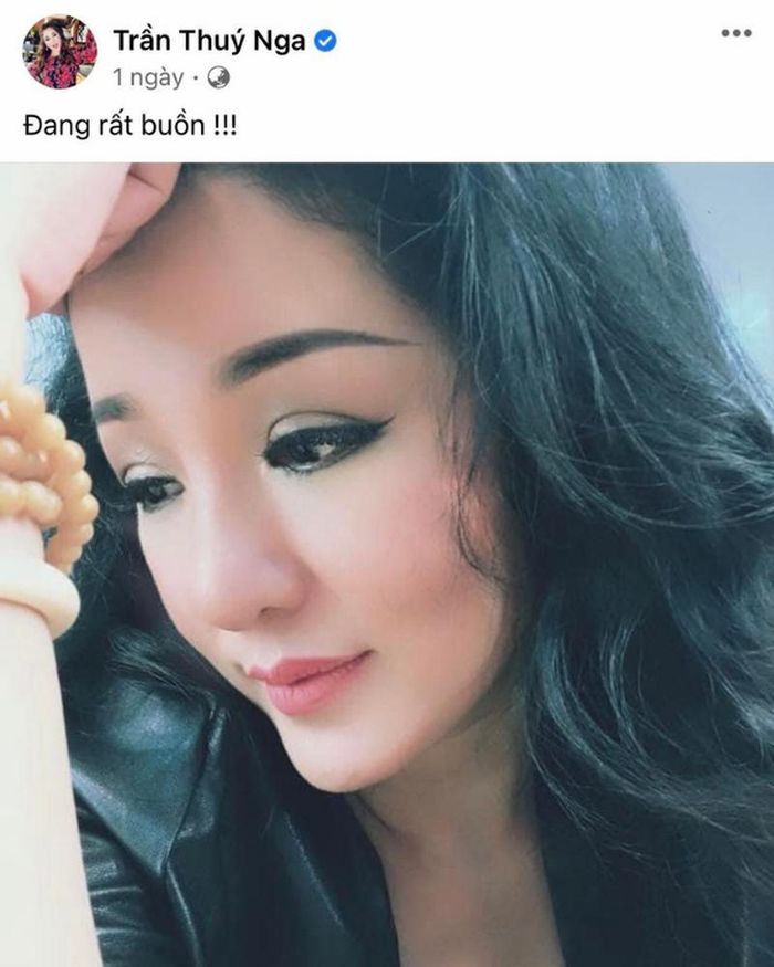 Thúy Nga cập nhập dòng trạng thái tâm trạng ngay mới đây khiến nhiều người nghi vấn (Nguồn ảnh: FB Trần Thúy Nga)