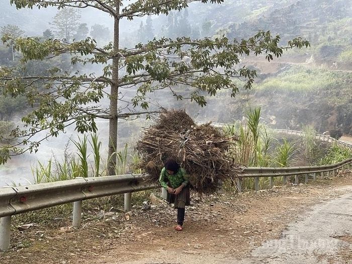 Suốt một đời nặng gánh – nhiều người phụ nữ chưa một lần biết “nữ quyền” là gì!