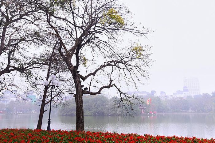 Mỗi góc nhỏ đều mang vẻ đẹp riêng cho hồ Gươm
