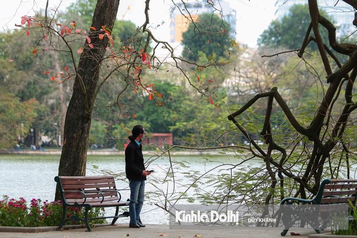 Thủ đô Hà Nội và nhất là Hồ Gươm, trong mỗi mùa cây thay lá đều mang một vẻ đẹp riêng khiến bao người say đắm.