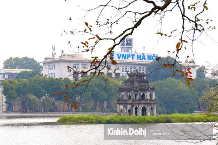 Mỗi mùa cây thay lá đọng lại trong lòng người Hà Nội những nét đẹp bâng khuâng trong sâu thẳm lòng mình mà khó có nơi nào có được. 